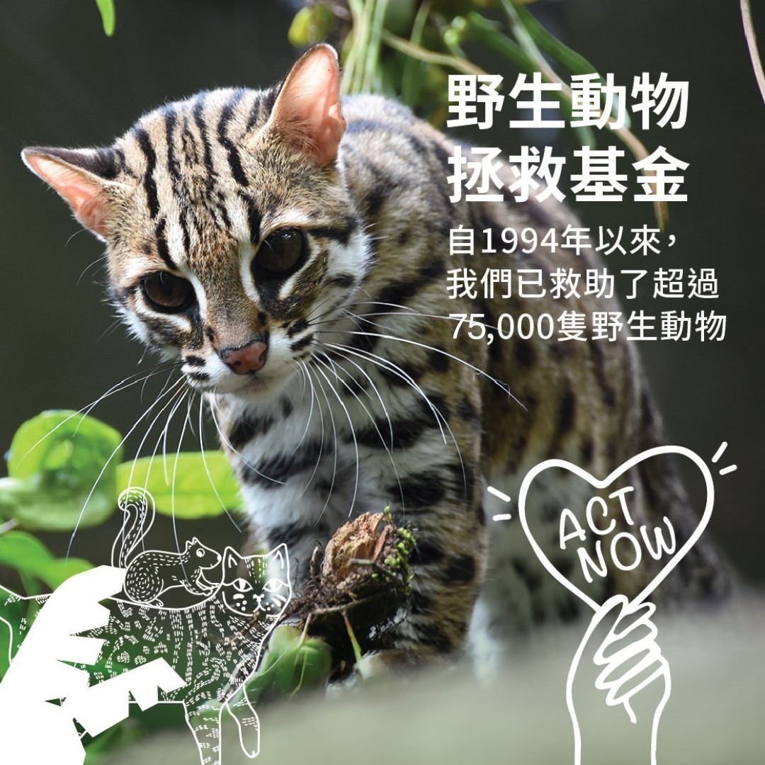 野生動物拯救基金