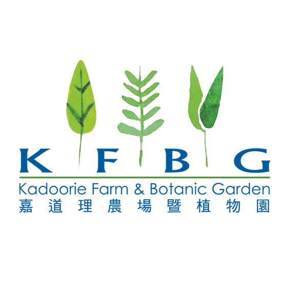 親子森林尋蛋遊