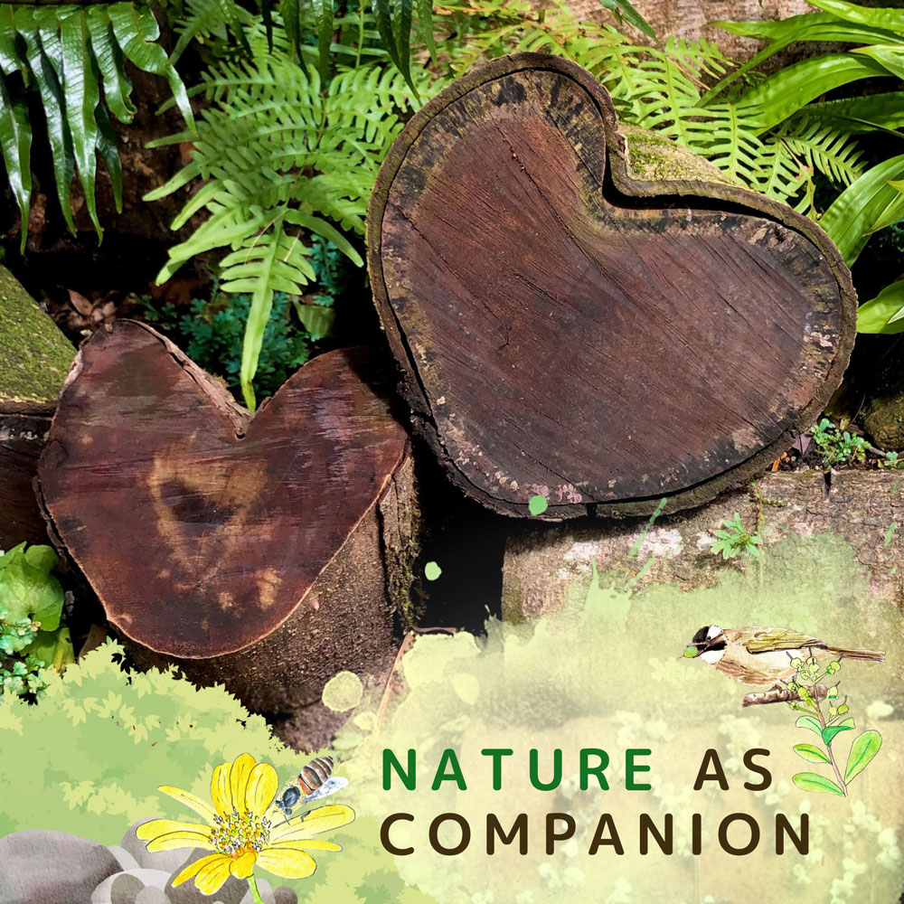 Nature as Companion: Community Wellbeing Support Programme