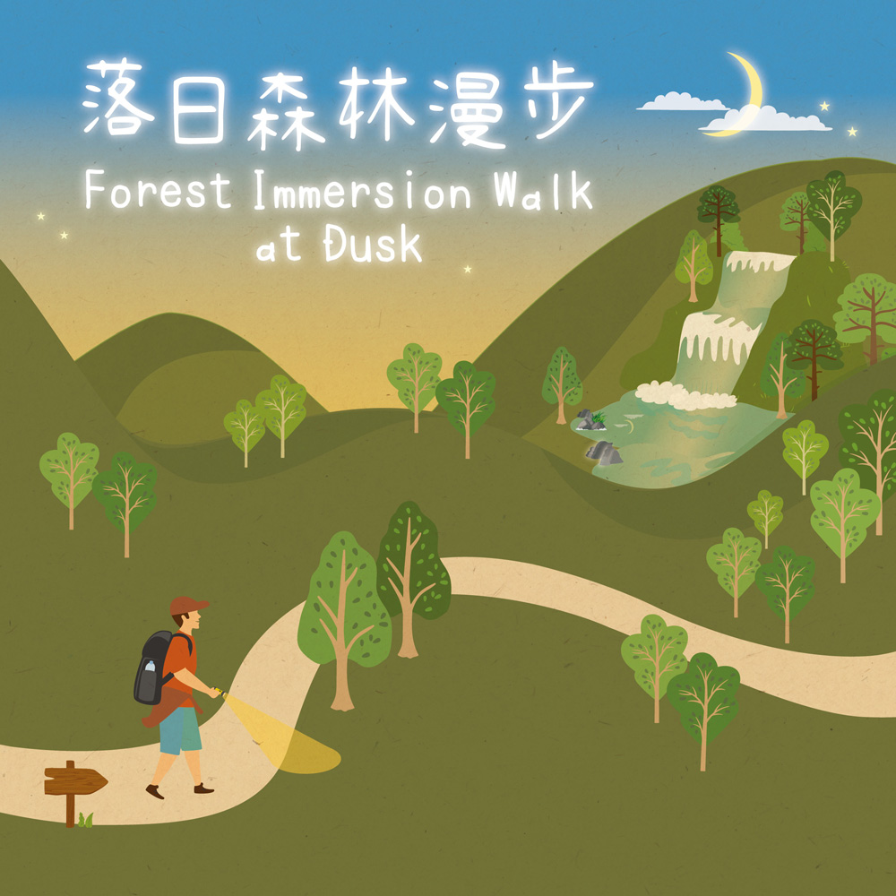 Forest Therapy | Forest Immersion Walk at Dusk 2026