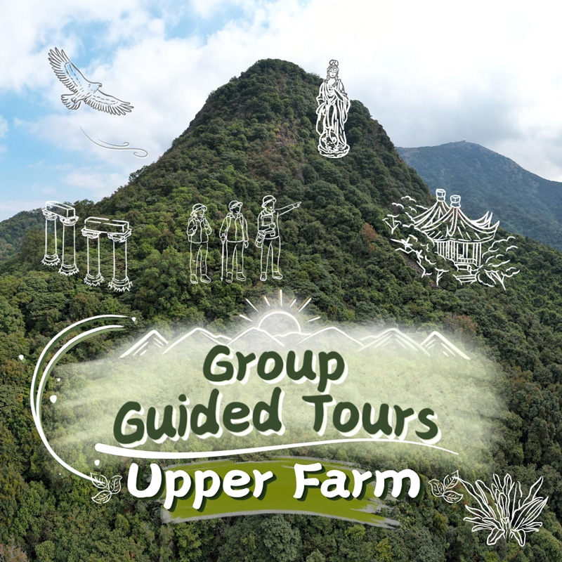 Upper Area Group Guided Tours