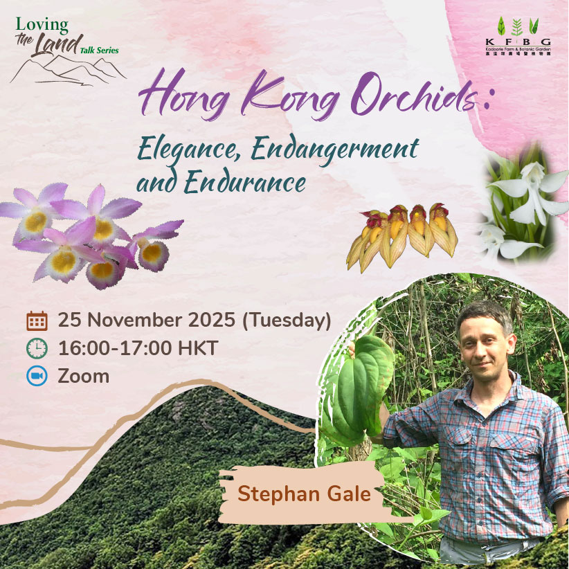 Loving the Land Talk Series | Hong Kong Orchids: Elegance, Endangerment and Endurance