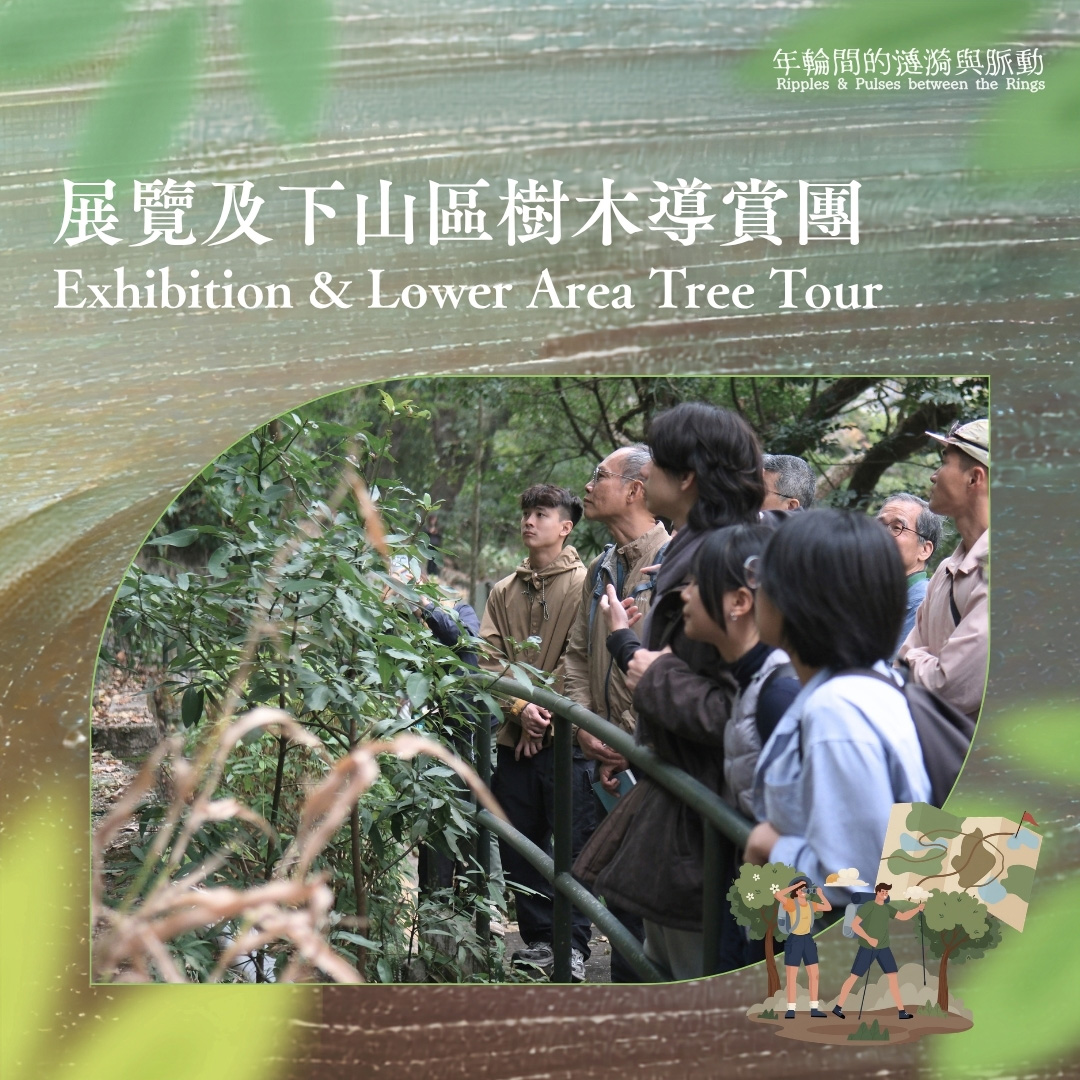 《年輪間的漣漪與脈動》| 展覽及下山區樹木導賞團