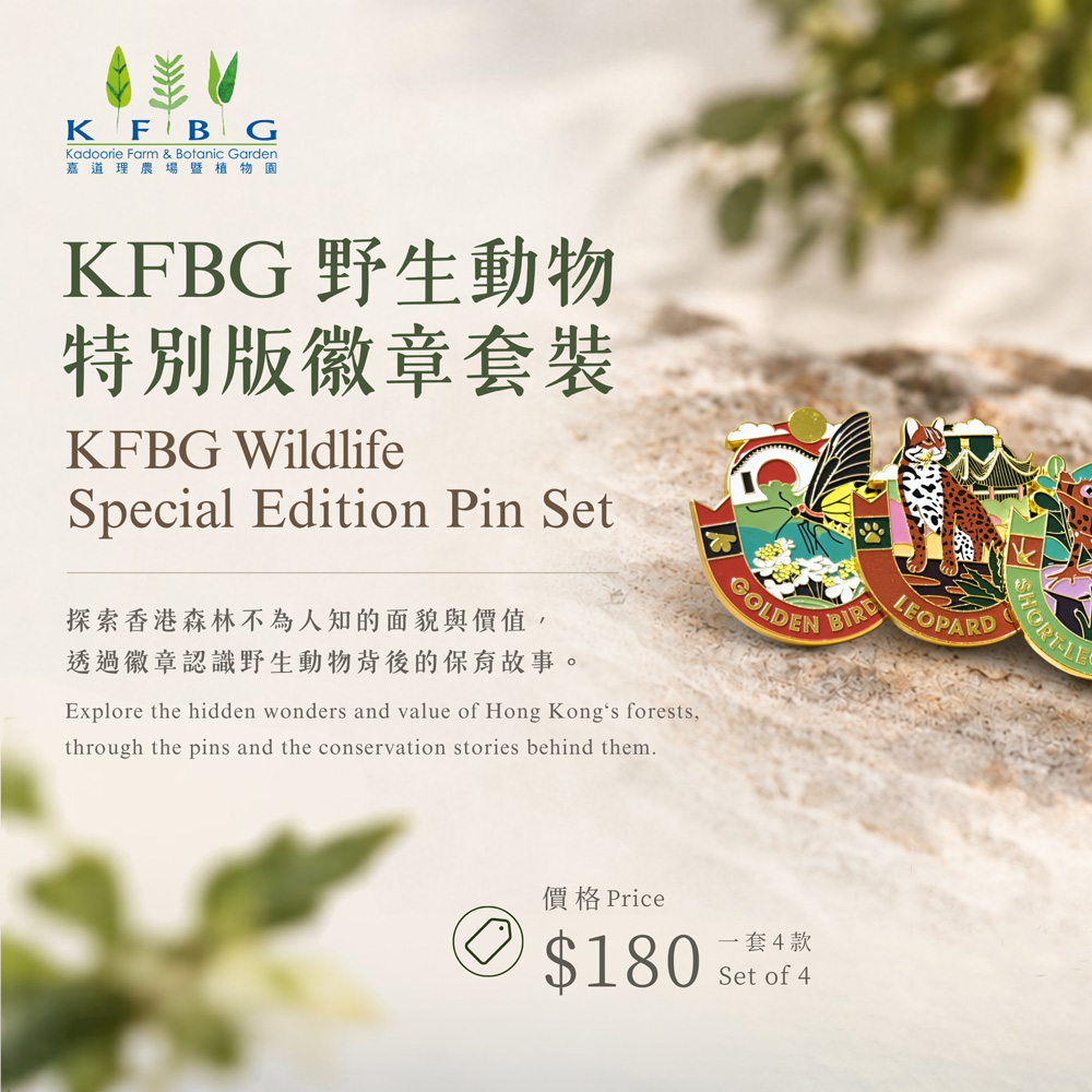 KFBG Wildlife Special Edition Pin Set