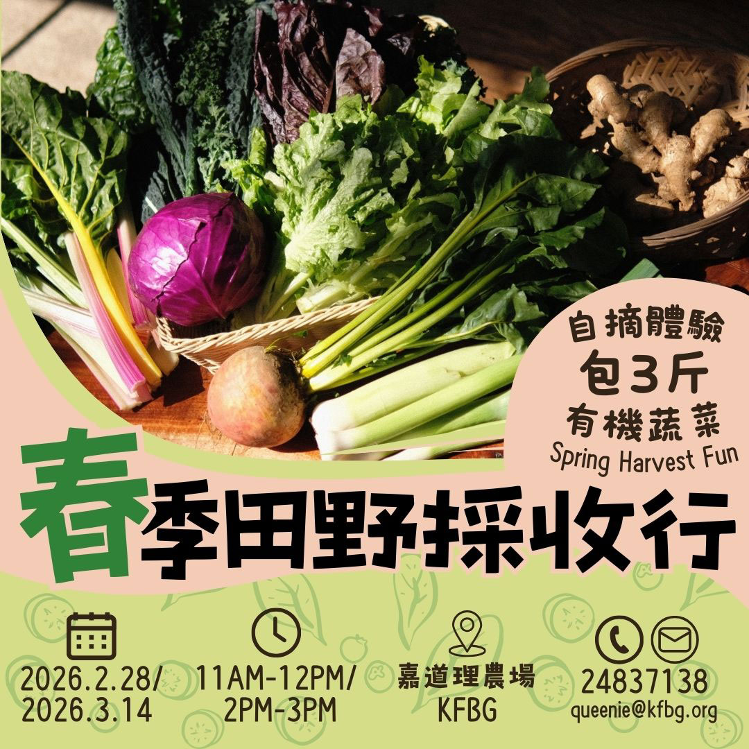 Spring Harvest Fun 2026