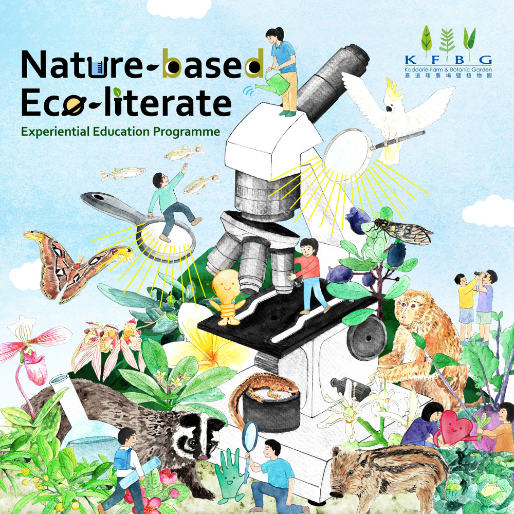 Nature-based Eco-literate Experiential Education Programme (NEEEP)｜ 2026/27 Academic Year: Application for NEEEP Teaching and Learning Resource