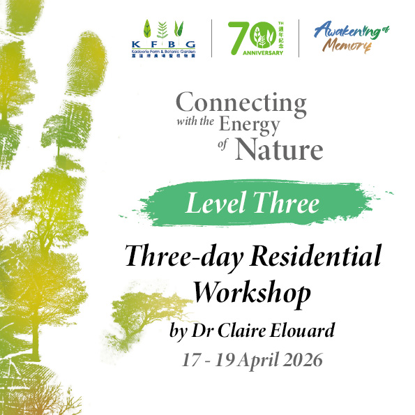 Dr Claire Elouard｜Level Three｜3-day Residential Workshop 2026