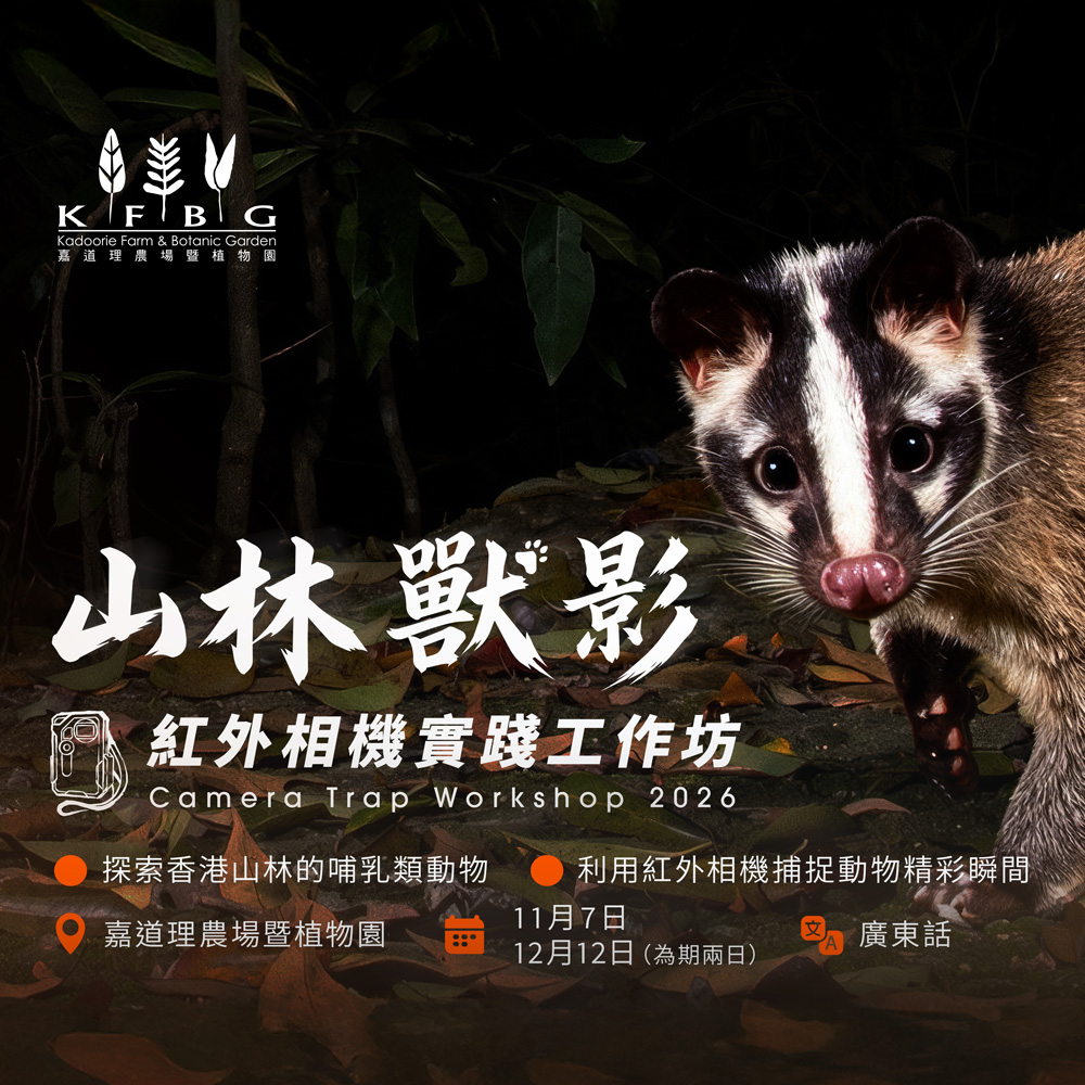 Infrared Camera Trap Workshop 2026