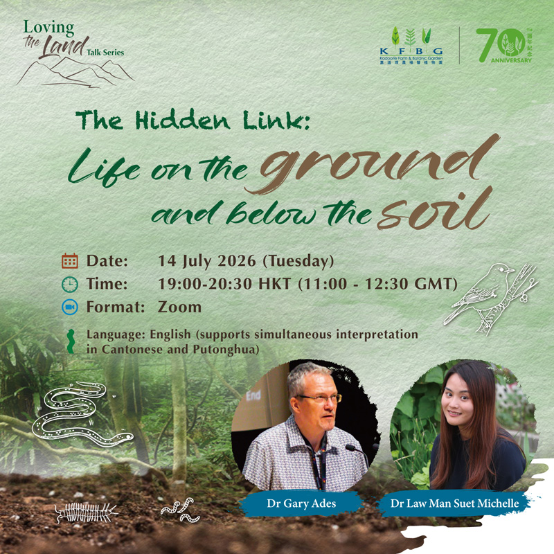 Loving the Land Talk Series | The Hidden Link: Life on the Ground and Below the Soil