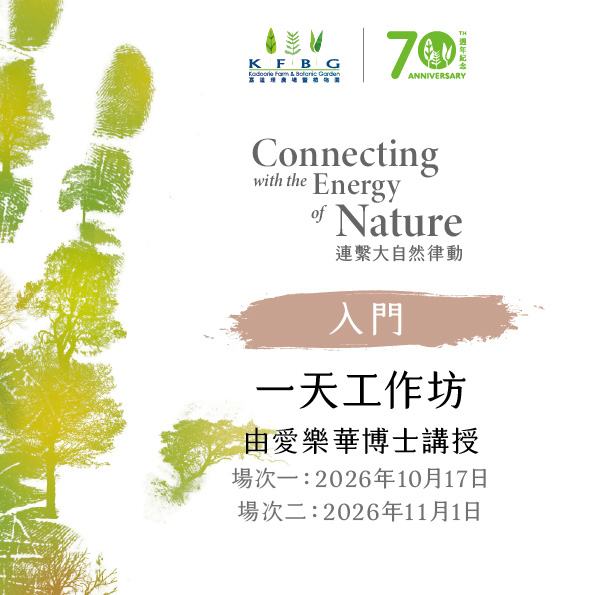 愛樂華博士｜入門｜一天工作坊 2026 秋季