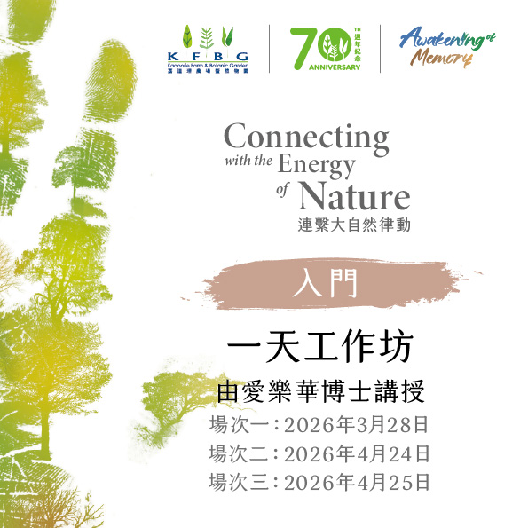 愛樂華博士｜入門｜一天工作坊 2026