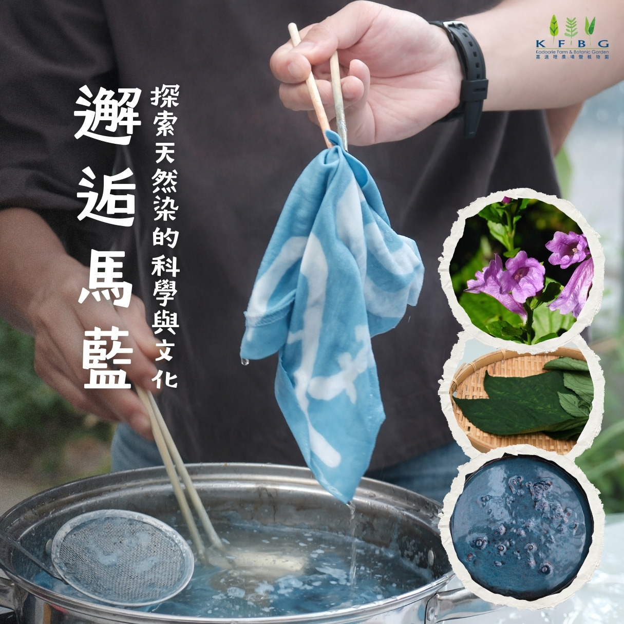 Encountering Indigo – Exploring the Chemistry and Culture of Natural Dye