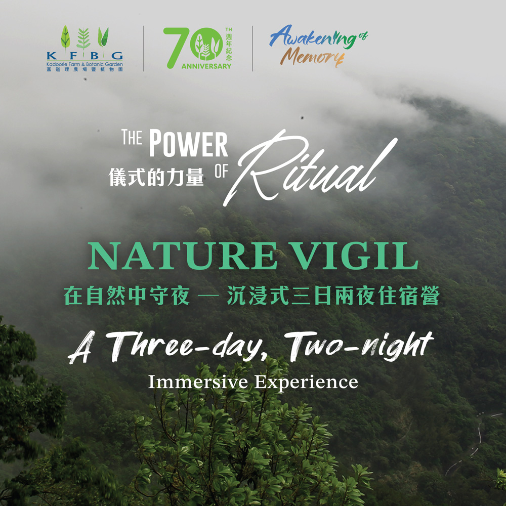 儀式的力量 — 在自然中守夜 — 沉浸式三日兩夜住宿營