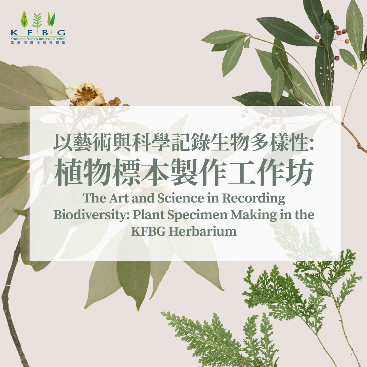 The Art and Science of Documenting Biodiversity: Making Plant Specimens in the KFBG Herbarium