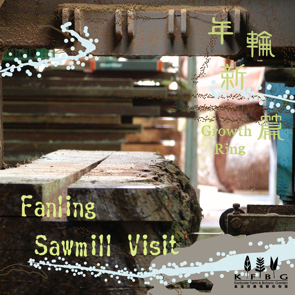 Growth Ring: Empowering Wood Upcycling through Training and Innovation | Fanling Sawmill Visit
