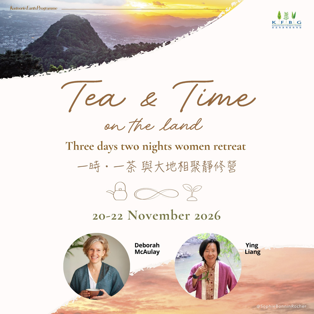 Tea & Time on the land — Three Days Two Nights Women Retreat