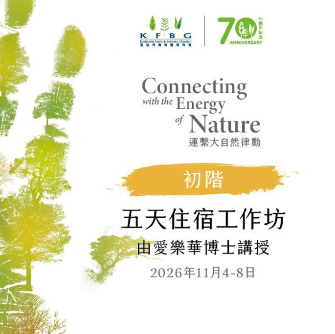 愛樂華博士｜初階｜五天住宿工作坊 2026 秋季
