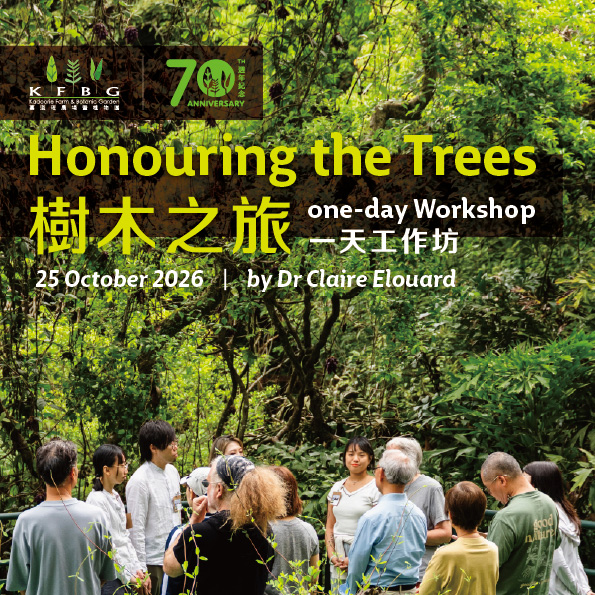 Dr Claire Elouard｜Honouring the Trees｜One-day Workshop 2026 Autumn