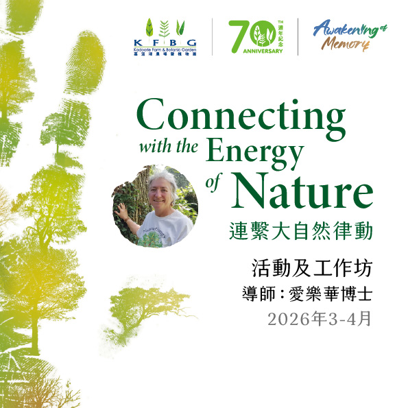 愛樂華博士｜連繫大自然律動｜活動及工作坊 2026