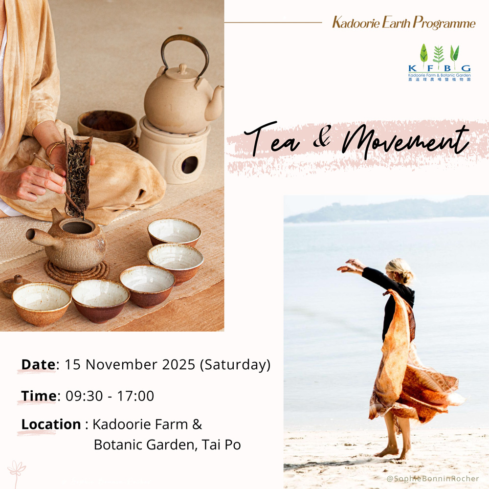 Tea & Movement