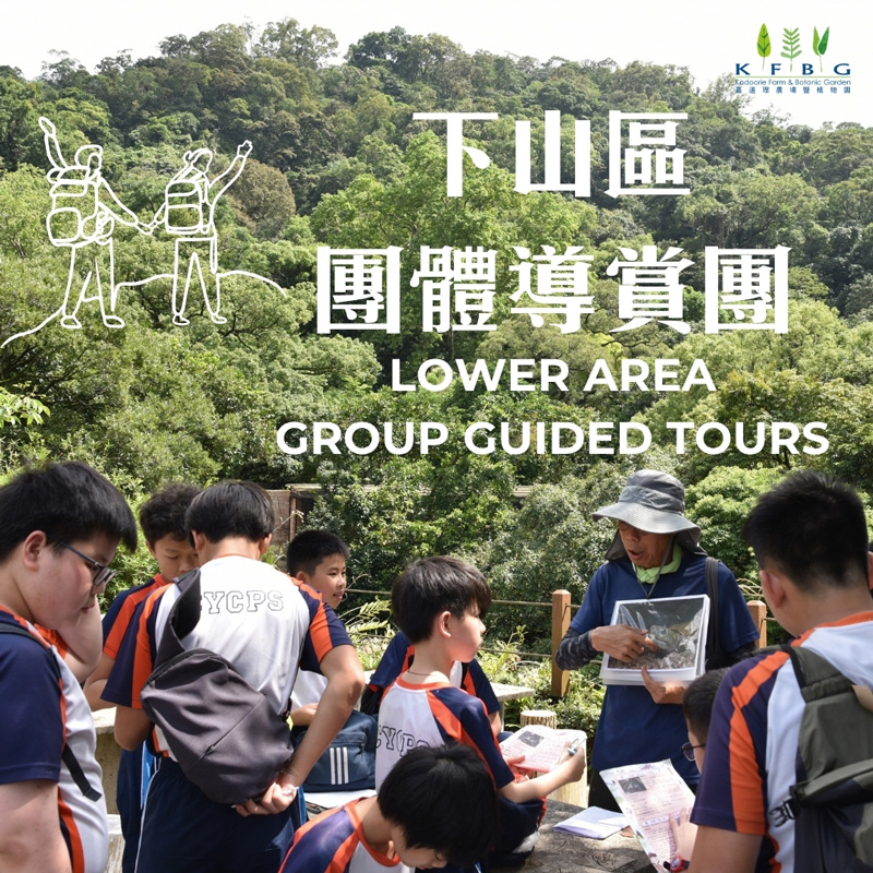 Group Guided Tours