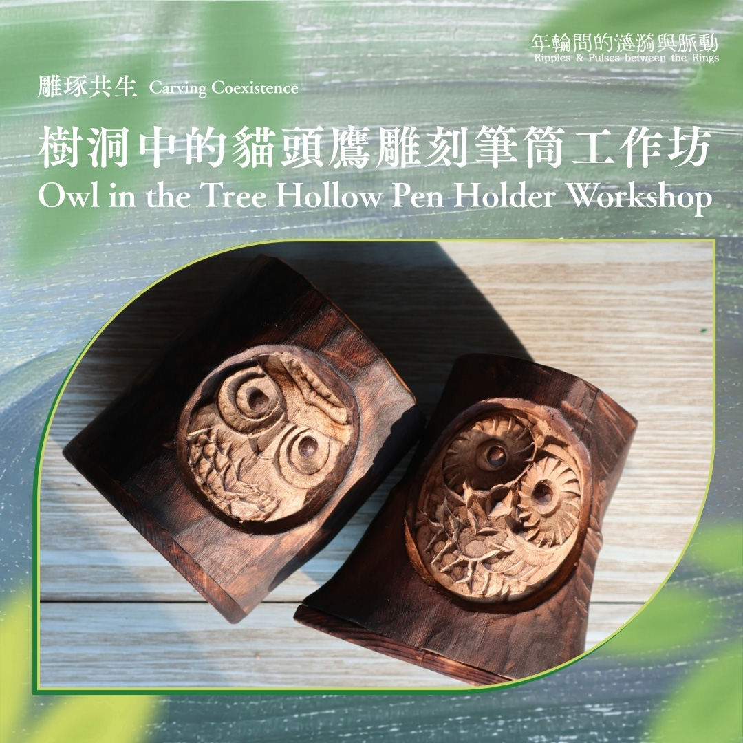《年輪間的漣漪與脈動》| 雕琢共生：樹洞中的貓頭鷹雕刻筆筒⼯作坊