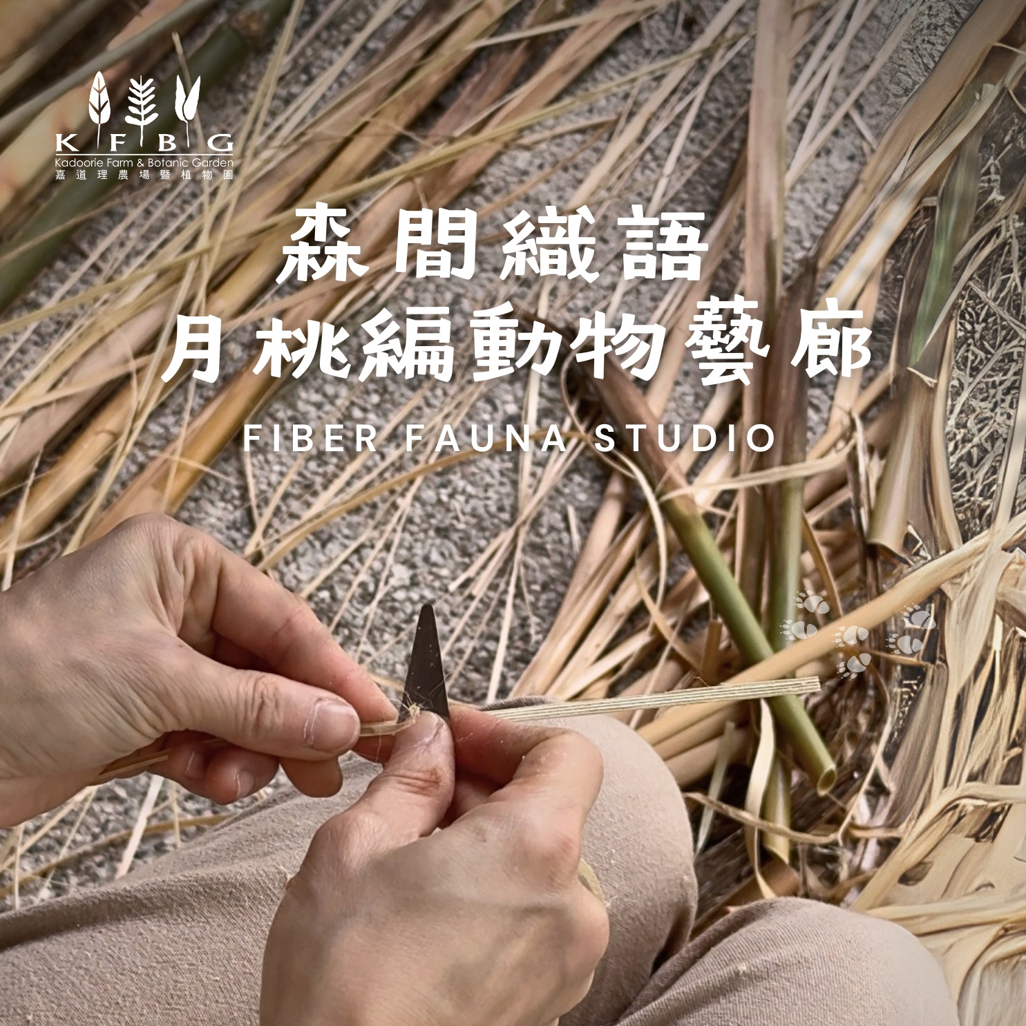 森間織語：月桃編動物藝廊