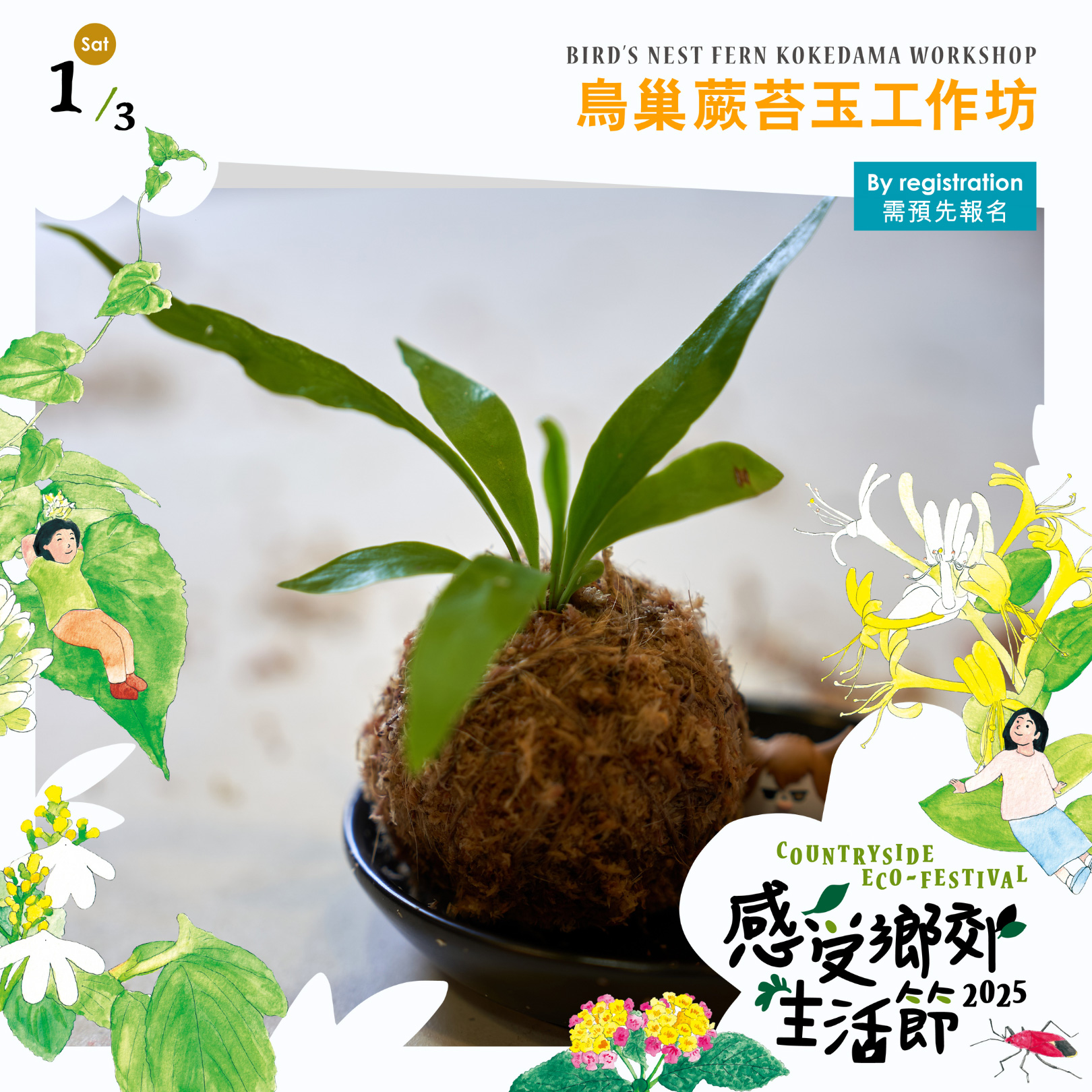 Bird’s Nest Fern Kokedama Workshop