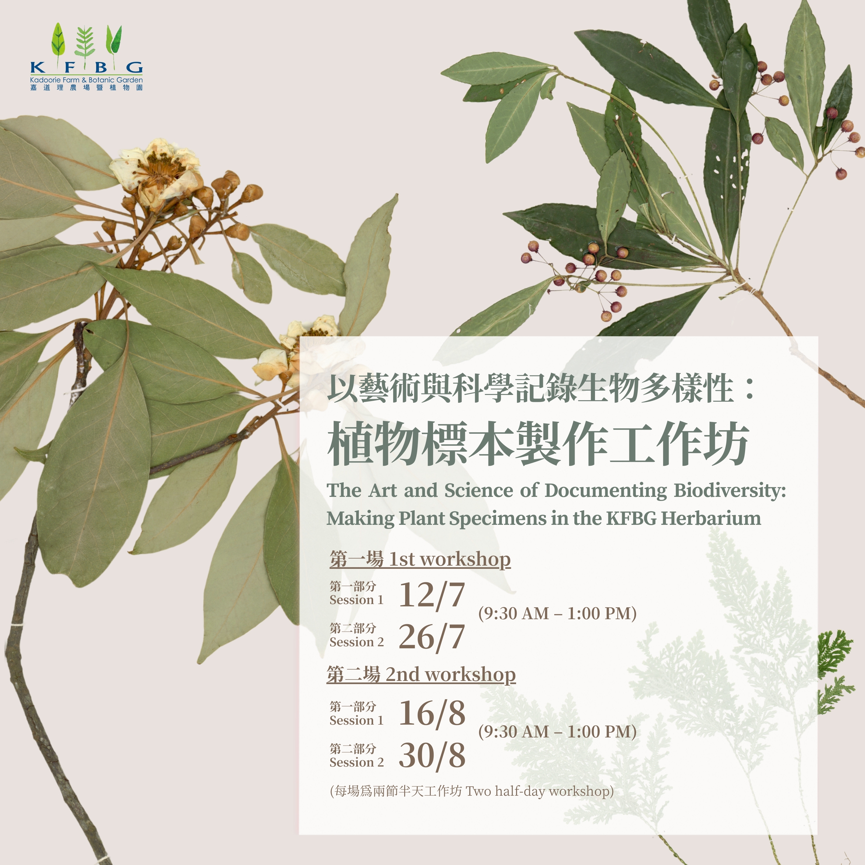以藝術與科學記錄生物多樣性：植物標本製作工作坊