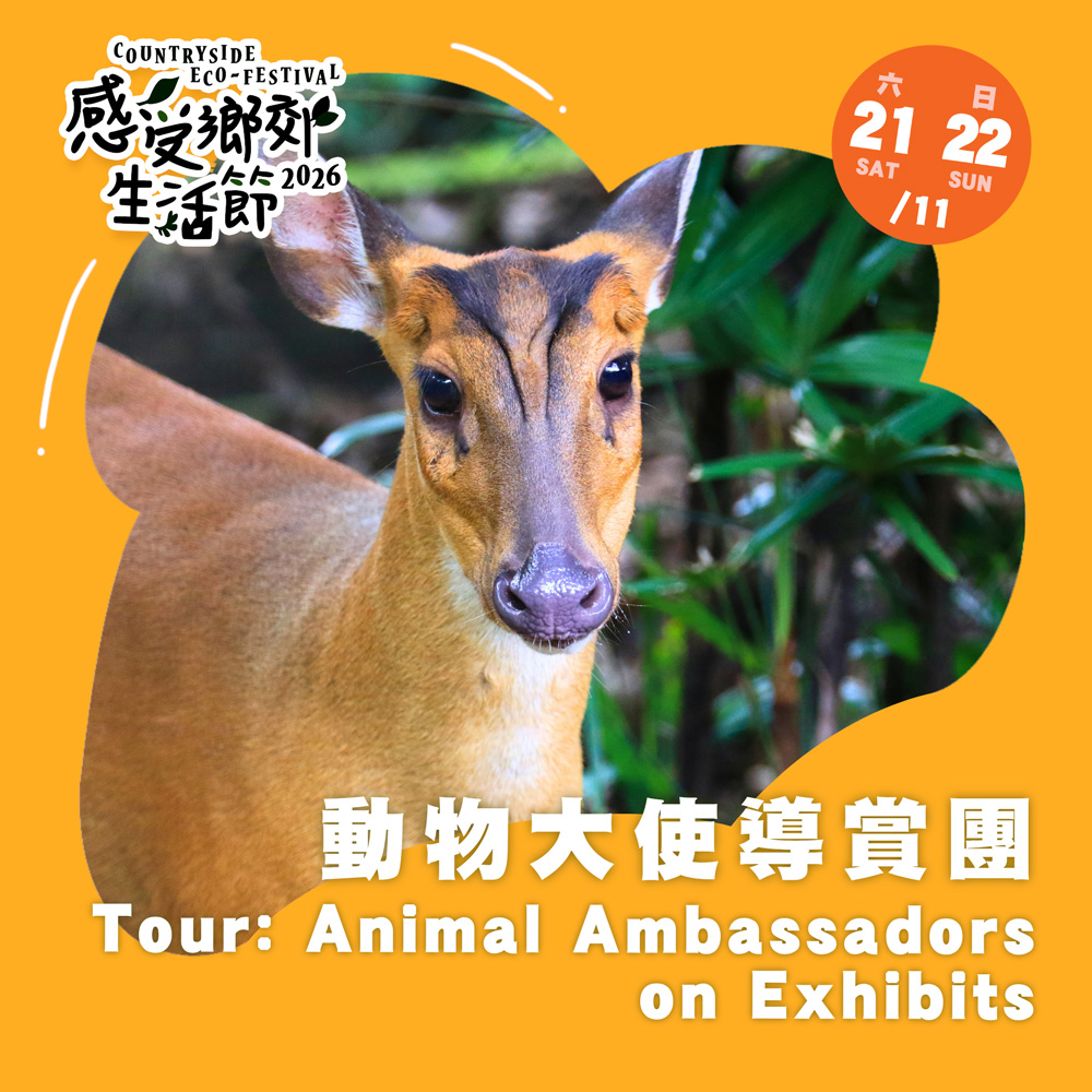感受鄉郊生活節2026 : 動物大使導賞團