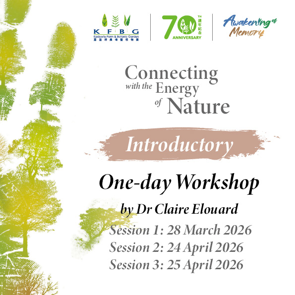 Dr Claire Elouard｜Introductory｜One-day Workshop 2026