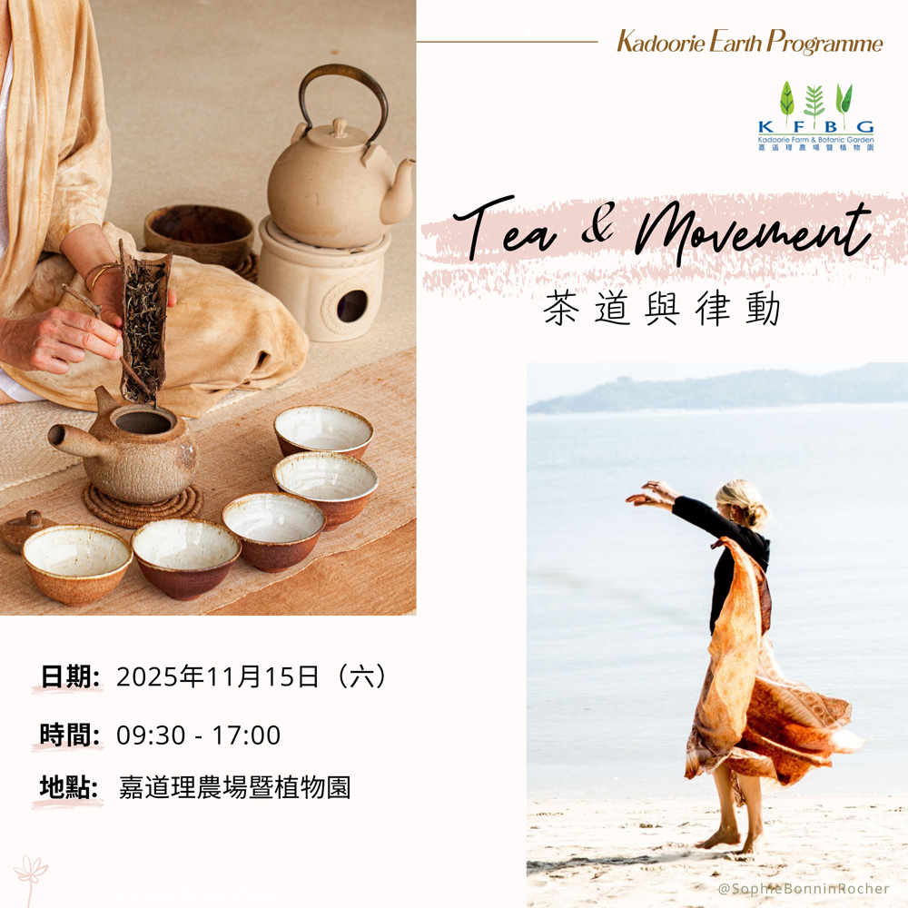 茶道與律動