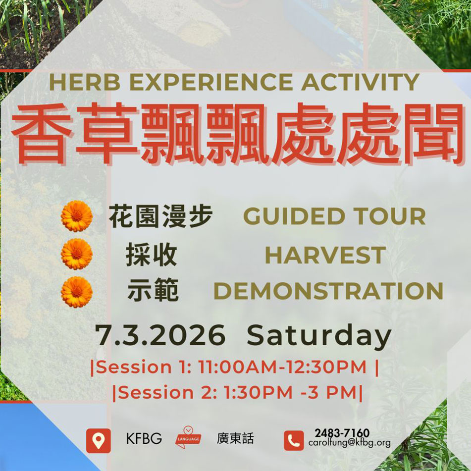 Herb Experience Activity
