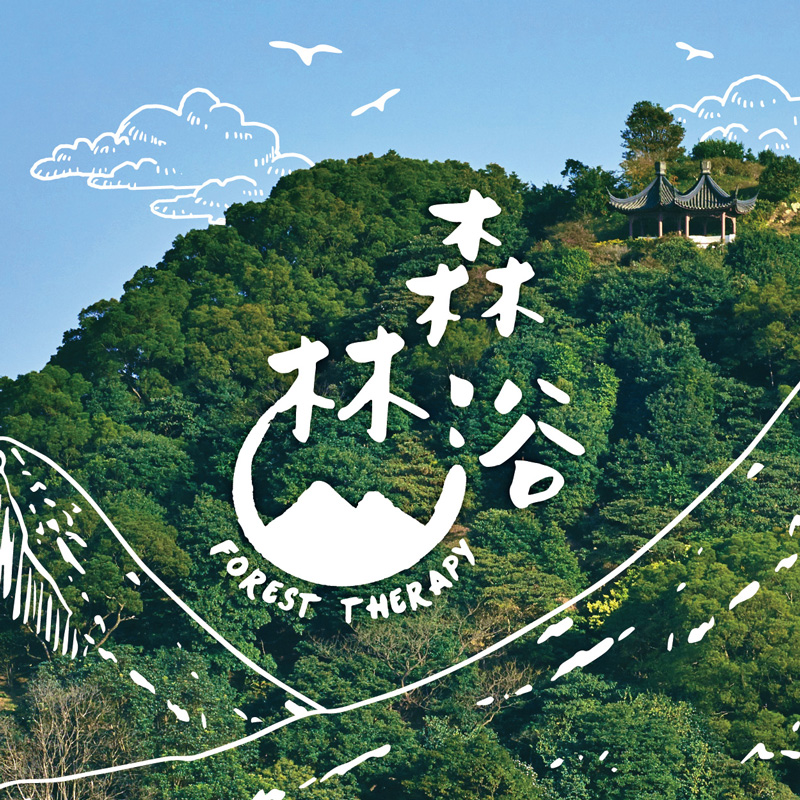 森林浴 | 一趟療癒旅程 2026