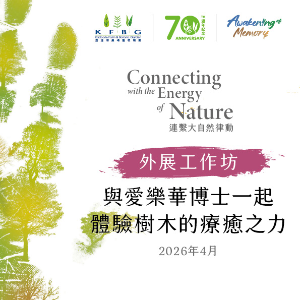 外展工作坊｜與愛樂華博士一起體驗樹木的療癒之力 2026