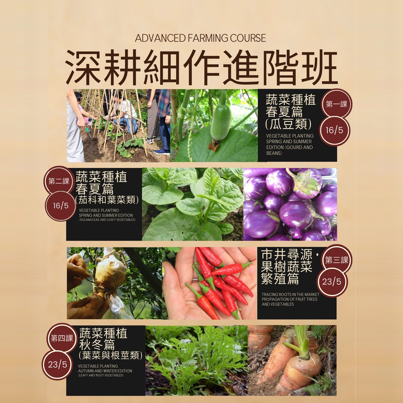 深耕細作進階班