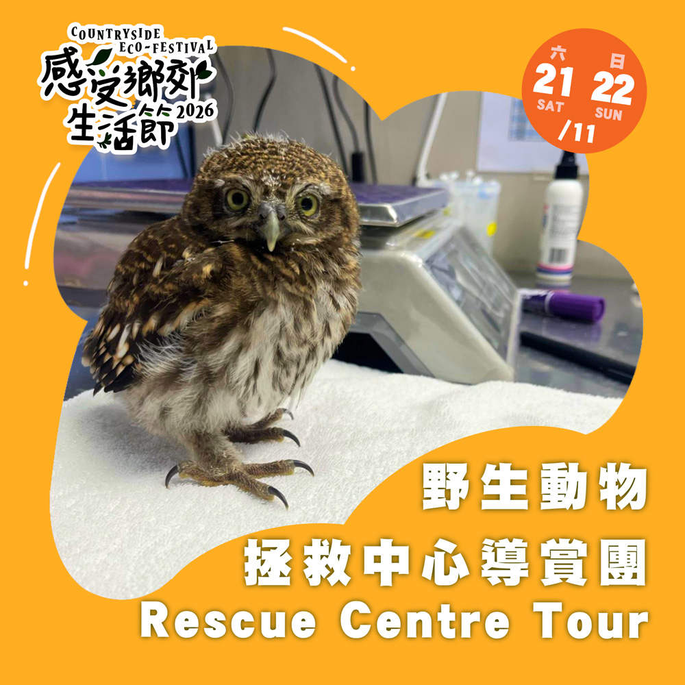 Countryside Eco-festival 2026: Rescue Centre Tour