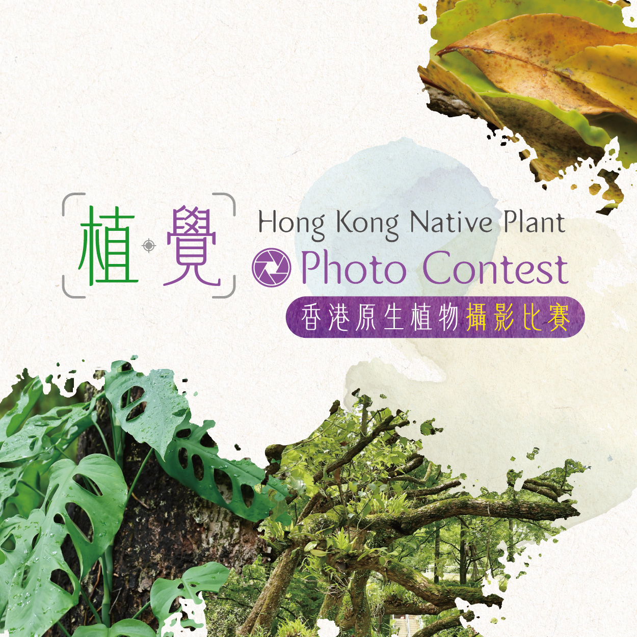 Impressions, Expressions｜Hong Kong Native Plant Photo Contest