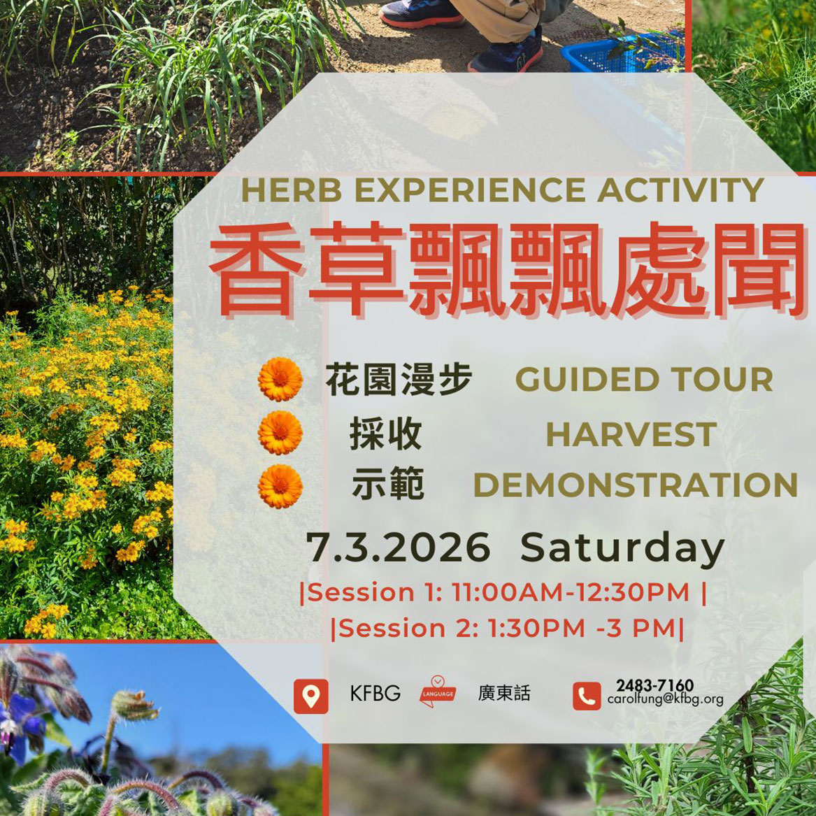 香草飄飄處處聞