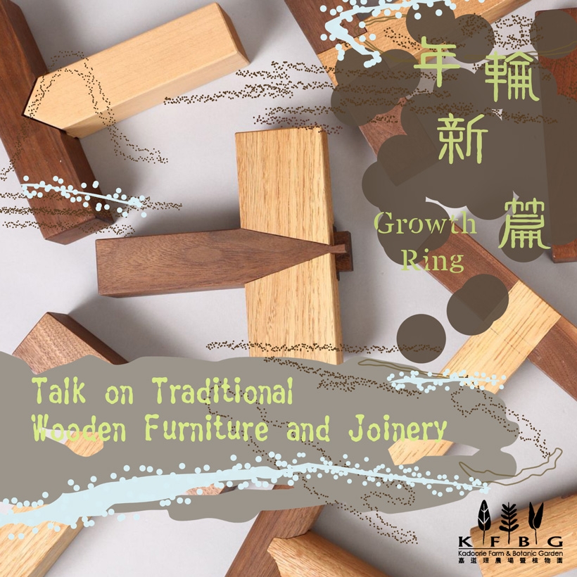 Growth Ring: Empowering Wood Upcycling through Training and Innovation | Talk on Traditional Wooden Furnitures and Joinery