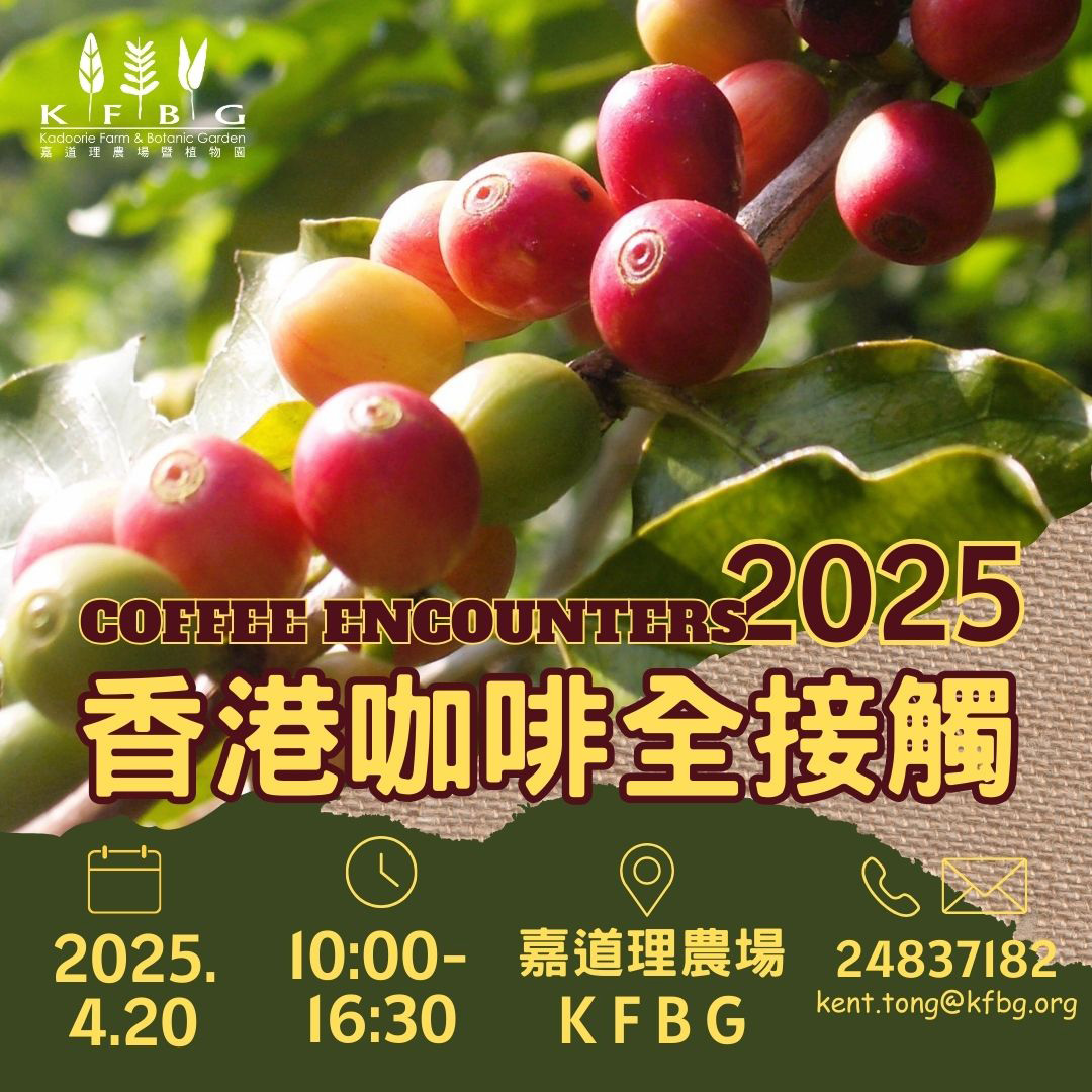 Hong Kong Coffee Encounters