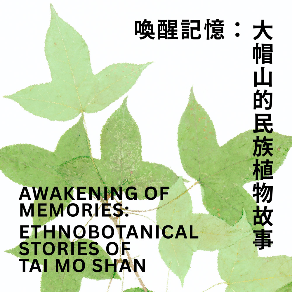 喚醒記憶：大帽山的民族植物故事