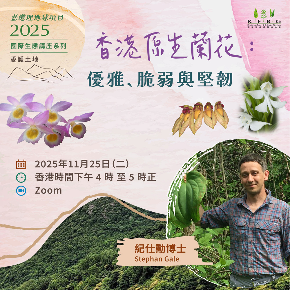 2025 生態講座系列 | 愛護土地 – 香港原生蘭花：優雅、脆弱與堅韌