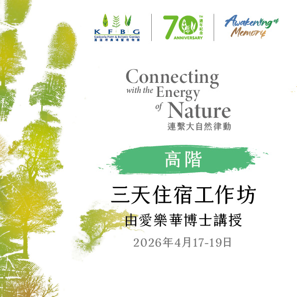 愛樂華博士｜高階｜三天住宿工作坊 2026