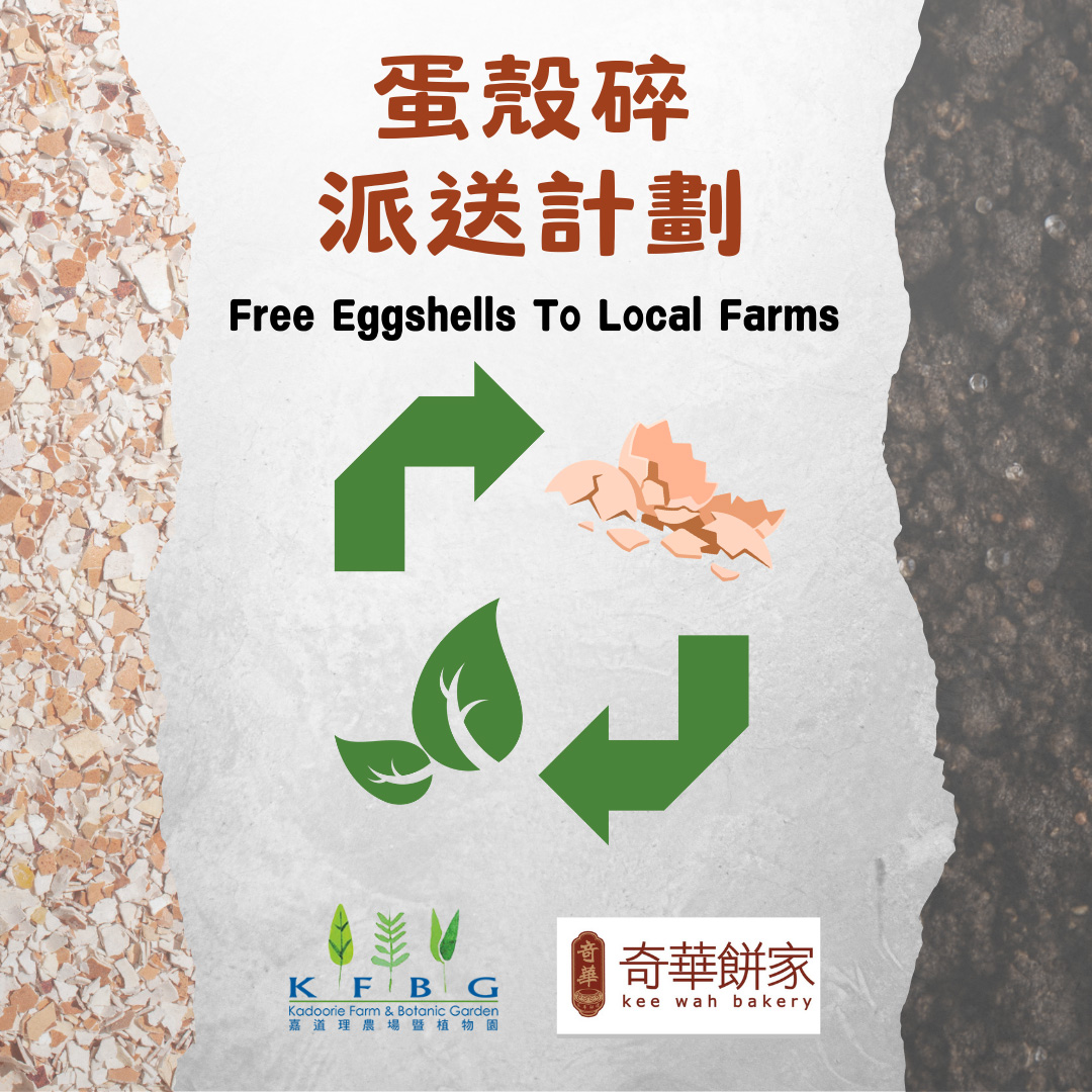 “Free Eggshell to farming”