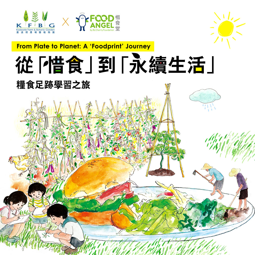 從「惜食」到「永續生活」：糧食足跡學習之旅