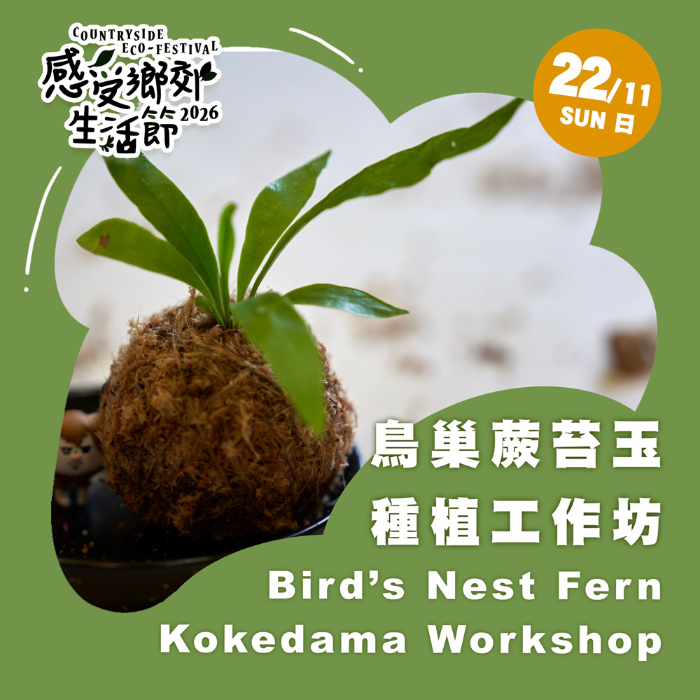 感受鄉郊生活節2026 :  鳥巢蕨苔玉工作坊