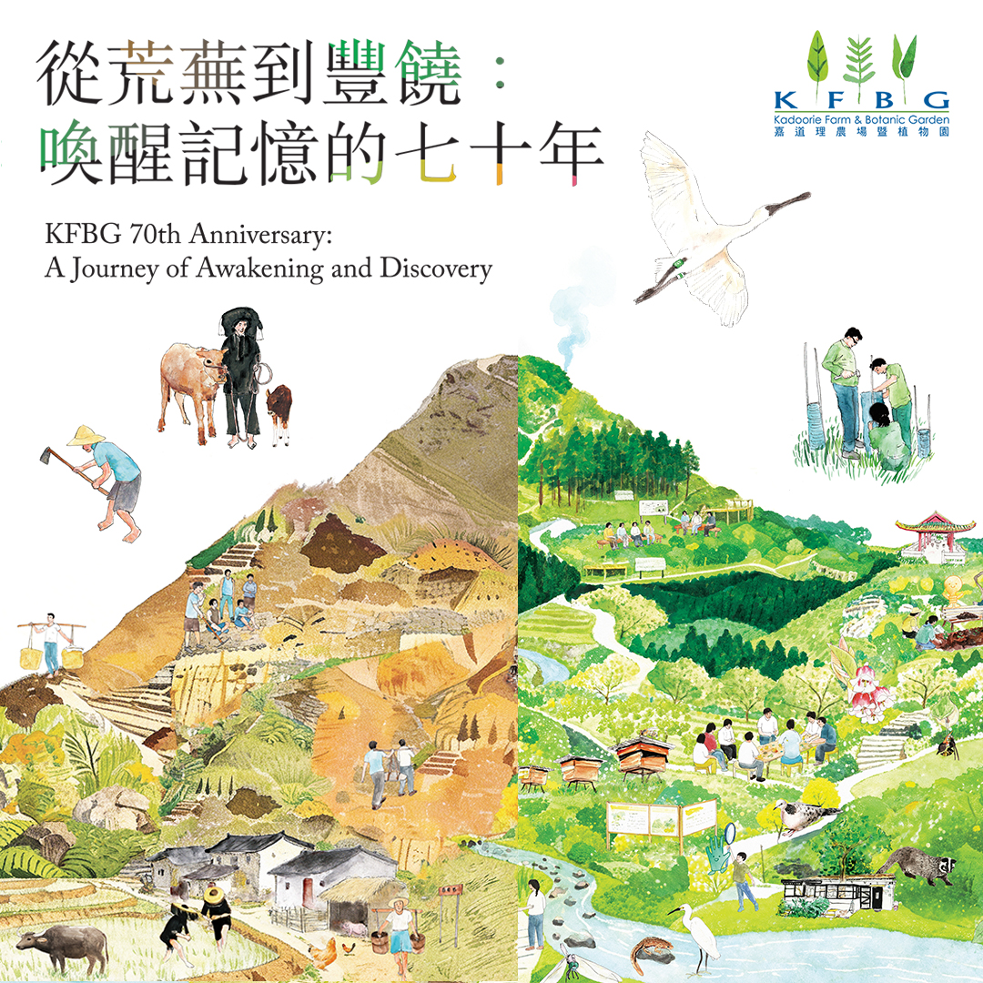 《從荒蕪到豐饒：喚醒記憶的七十年》特別展覽