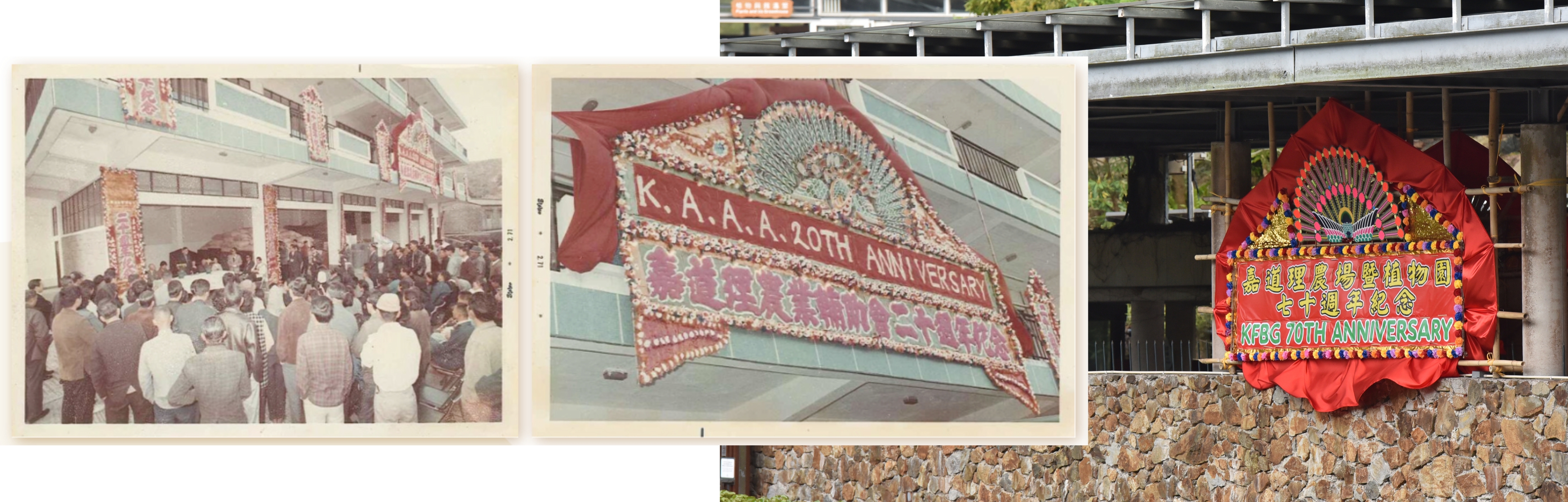 歲月傳承：雙面花牌致敬七十載情誼