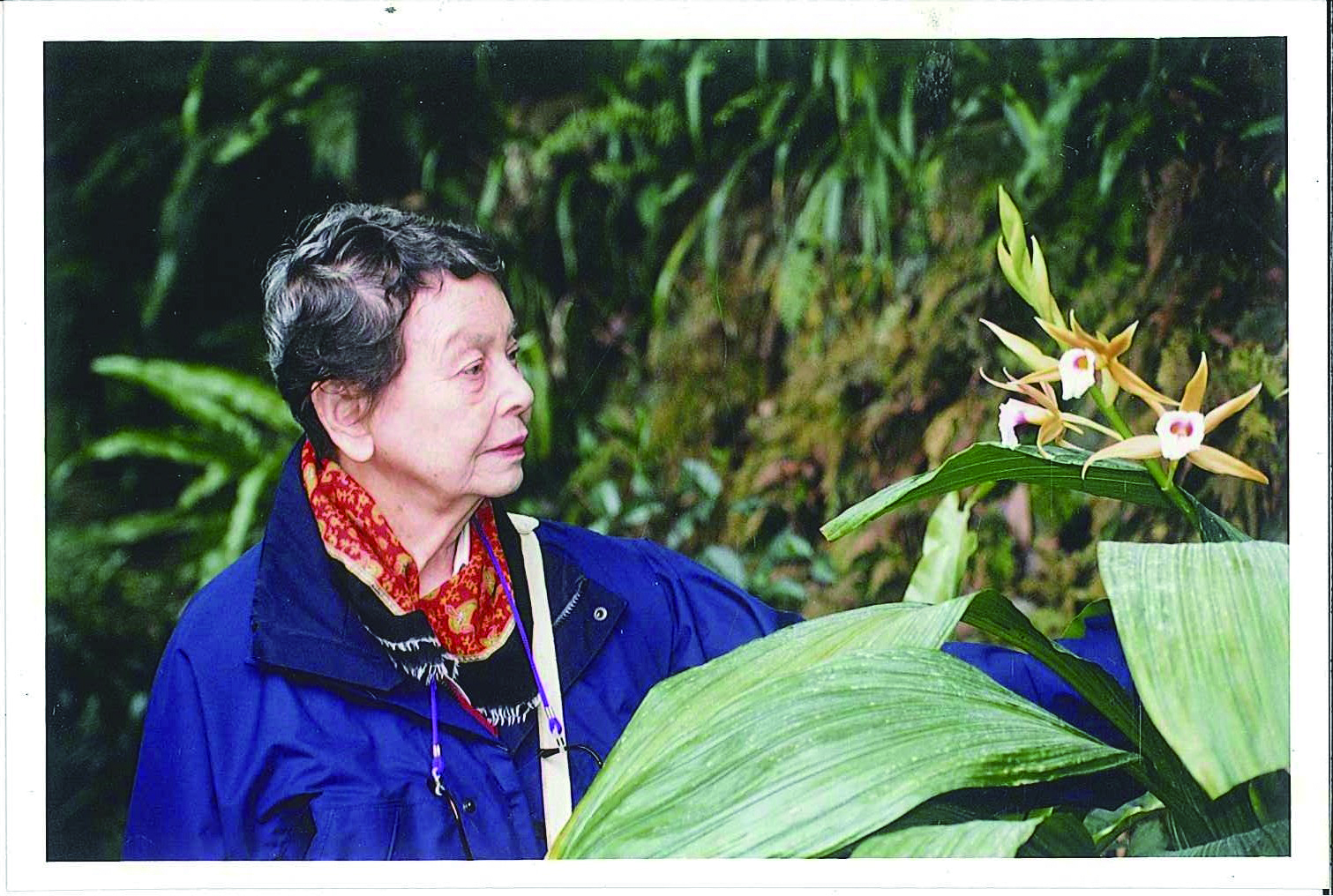 植物保育獲國際肯定